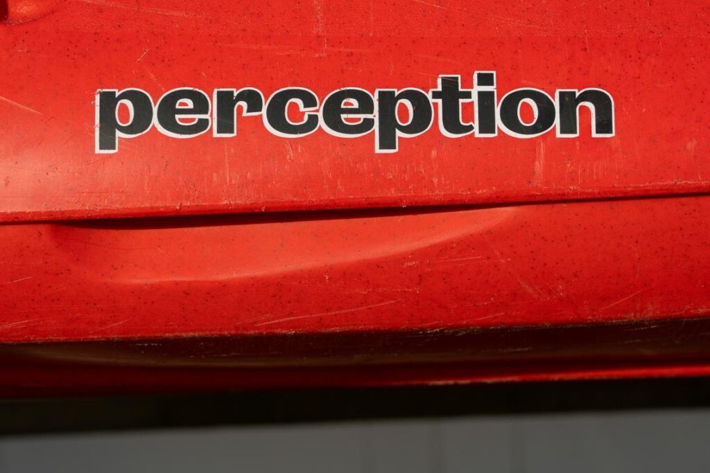 Somatic Proprioception