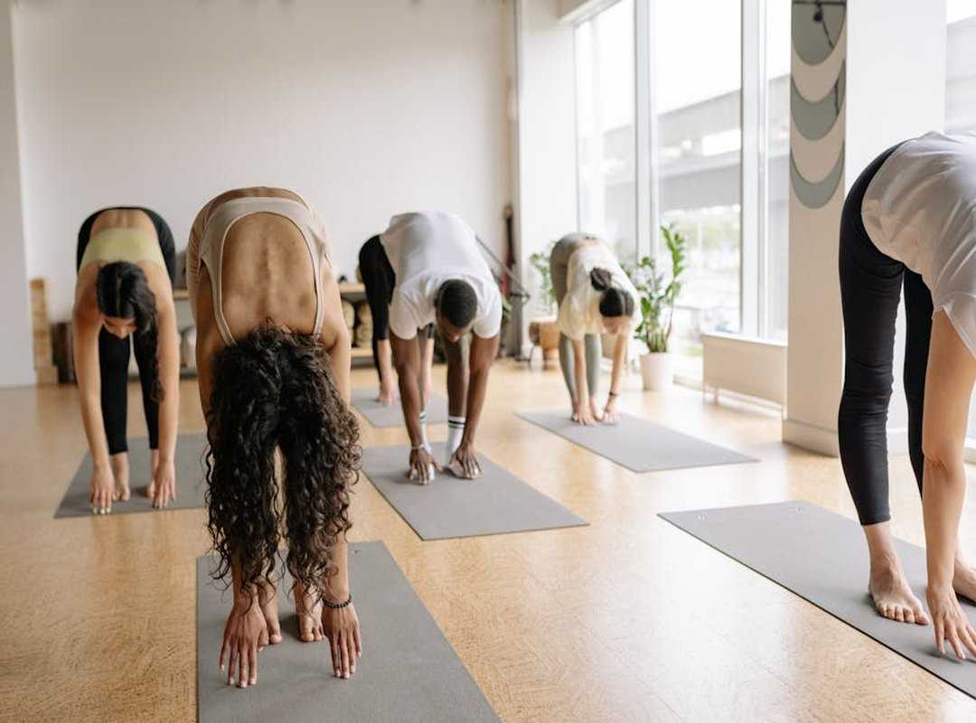 wellness experts habits